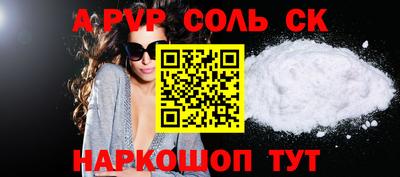 гашик Кингисепп