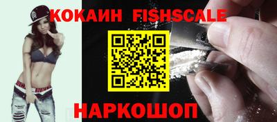 гашик Кингисепп