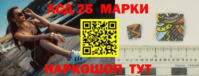 гашик Кингисепп