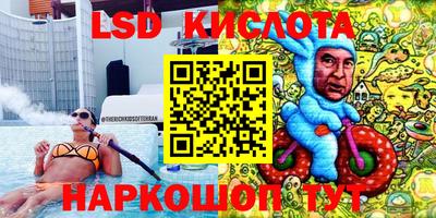 гашик Кингисепп