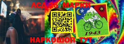 гашик Кингисепп