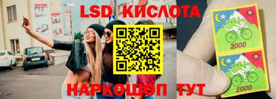 гашик Кингисепп