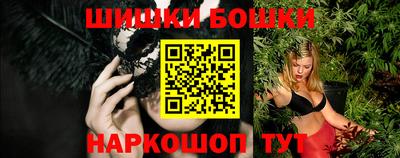 гашик Кингисепп