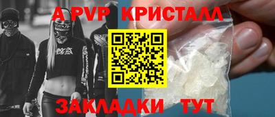 гашик Кингисепп