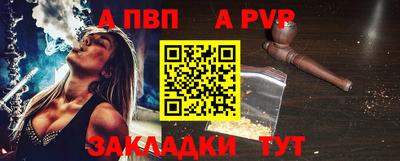 гашик Кингисепп