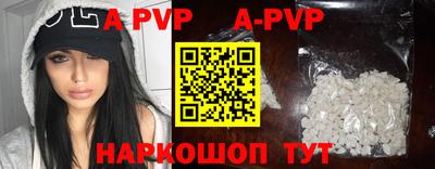 гашик Кингисепп