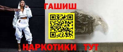 гашик Кингисепп