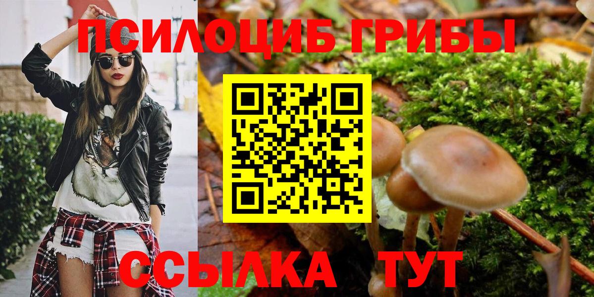 Псилоцибиновые грибы мицелий  Вход с VPN  Волгоград  Псилоцибиновые грибы Magic Shrooms 